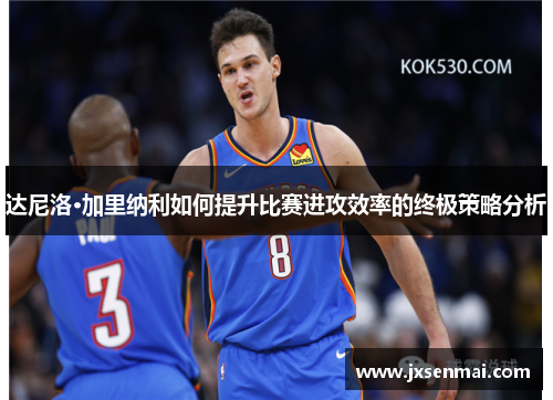 达尼洛·加里纳利如何提升比赛进攻效率的终极策略分析
