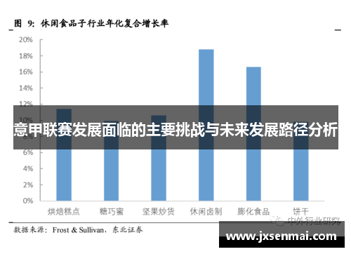 意甲联赛发展面临的主要挑战与未来发展路径分析