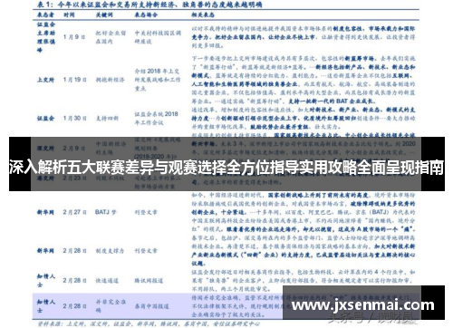 深入解析五大联赛差异与观赛选择全方位指导实用攻略全面呈现指南 深入解析五大联赛差异与观赛选择全方位指导实用攻略全面呈现指南