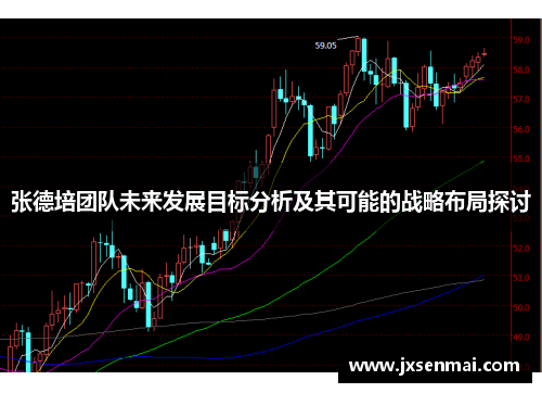 张德培团队未来发展目标分析及其可能的战略布局探讨