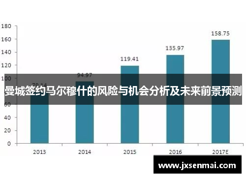曼城签约马尔穆什的风险与机会分析及未来前景预测